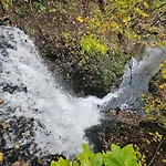 In Mit Garten