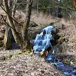 In Mit Garten Wieda