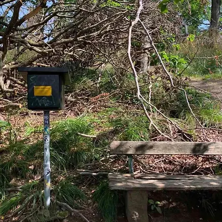 In Mit Garten Feriehus Wieda
