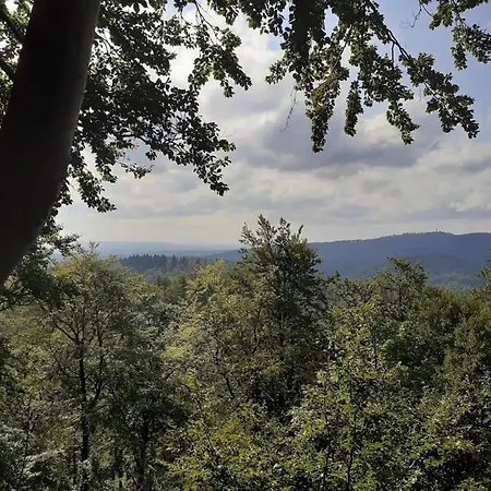 Vakantiehuis In Mit Garten Wieda