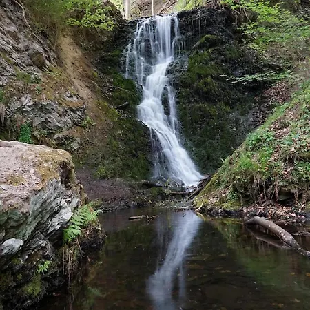 Ferienhaus In Mit Garten *