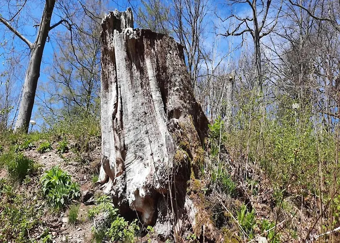 In Mit Garten بيت للعطل