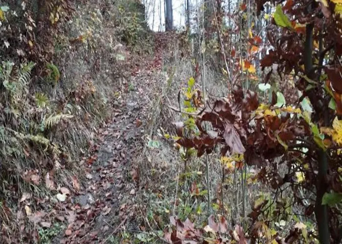 بيت للعطل In Mit Garten