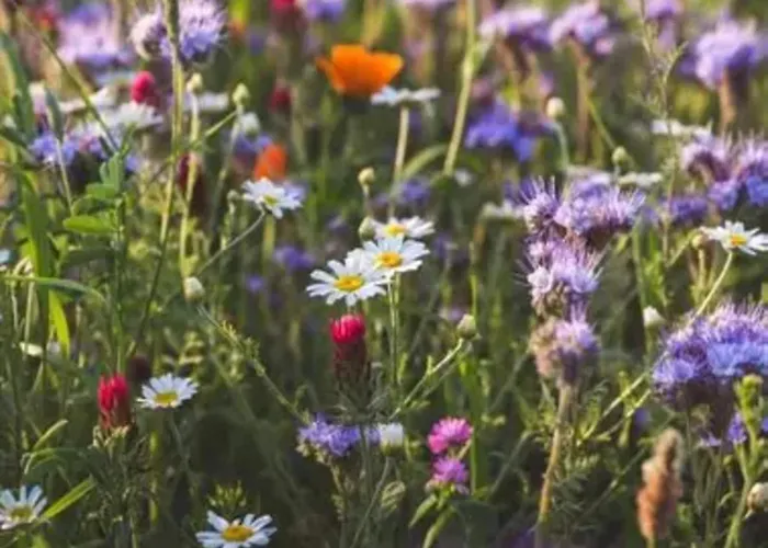 بيت للعطل In Mit Garten Wieda